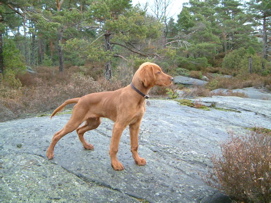 Scott 6 months old 1